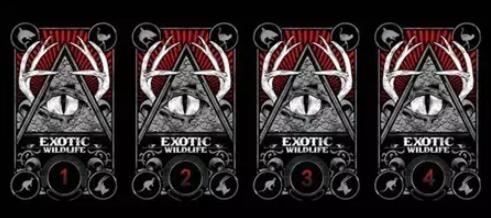 塔罗牌占卜你在爱情中出现的盲点是什么?