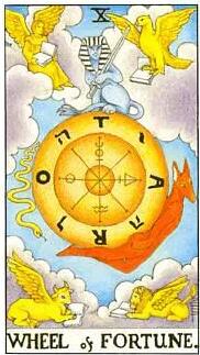 塔罗占卜前任恨我吗