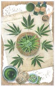 塔罗他心里是怎么打算,他会变心吗?