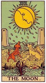 塔罗占卜我会再婚吗?测试我会二婚吗