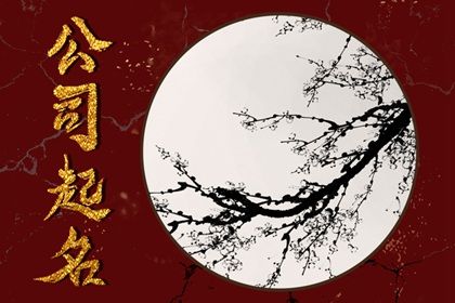 2023年简单大气公司名字 比较高级的企业名称